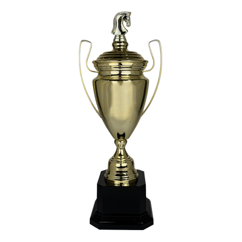 Trofeo de Copa de Metal con Figura Serie M1